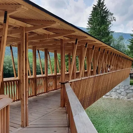 Apartmaji Julijana Podlipnik *