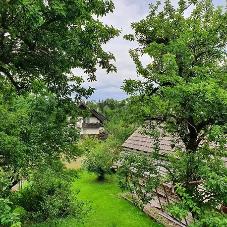 Apartmaji Julijana Podlipnik