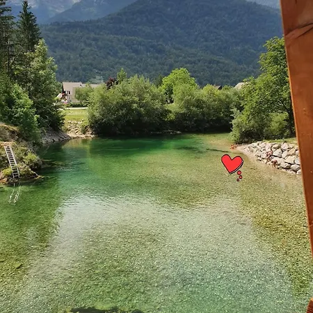 Apartmaji Julijana Podlipnik Apartamento *