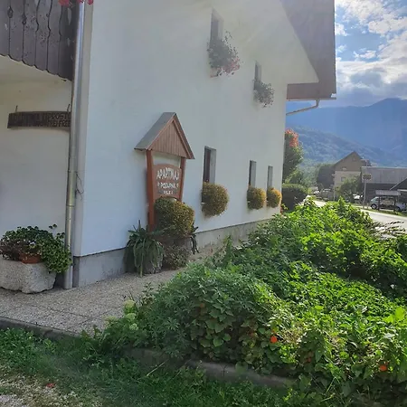 Apartmaji Julijana Podlipnik Appartement *