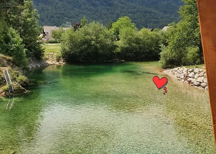 Apartmaji Julijana Podlipnik Apartman *